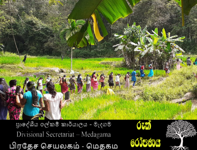 2021 පැල සිට් වීම නිදහස් දින වැඩසටහන