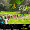 2021 පැල සිට් වීම නිදහස් දින වැඩසටහන