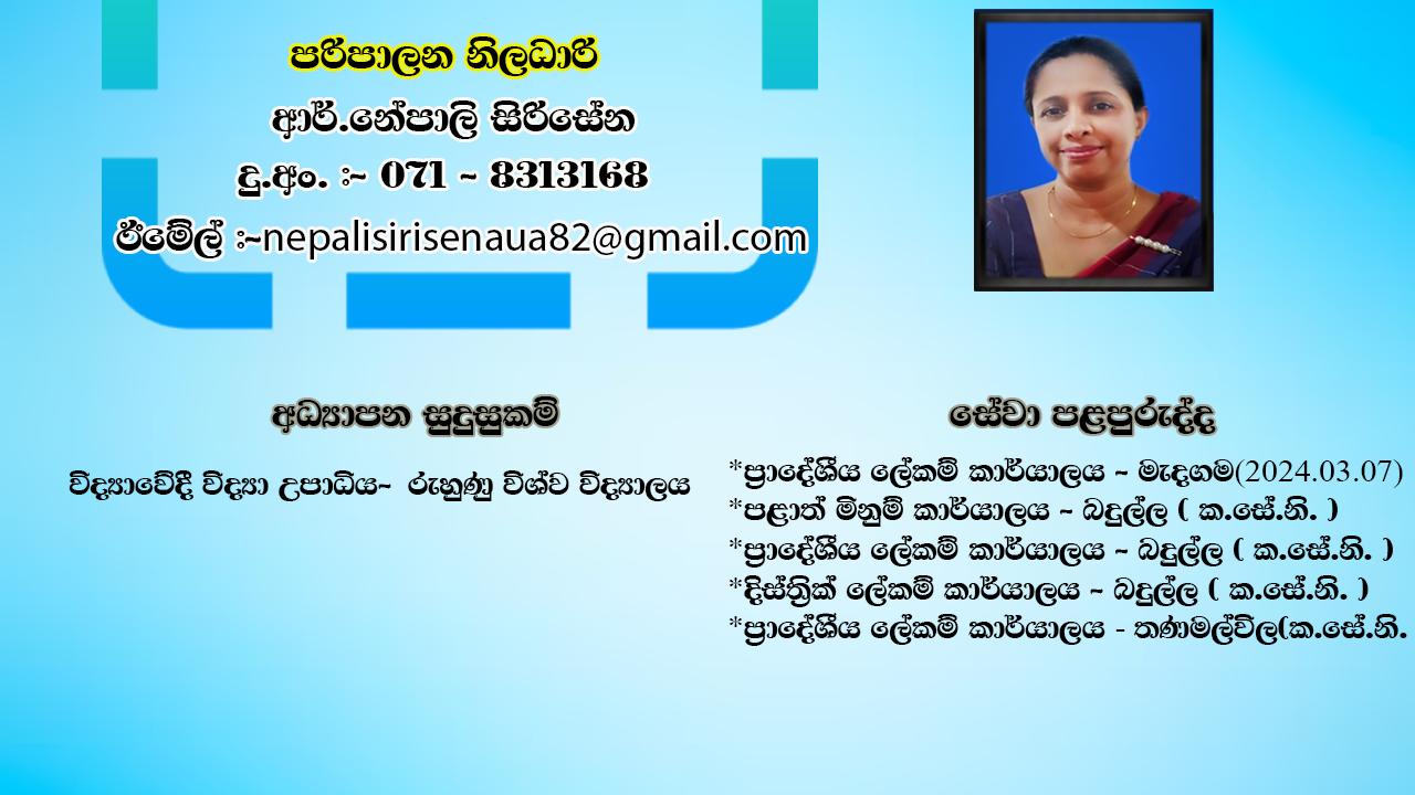 AO new 2024 sinhala
