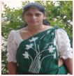 Pln nilu